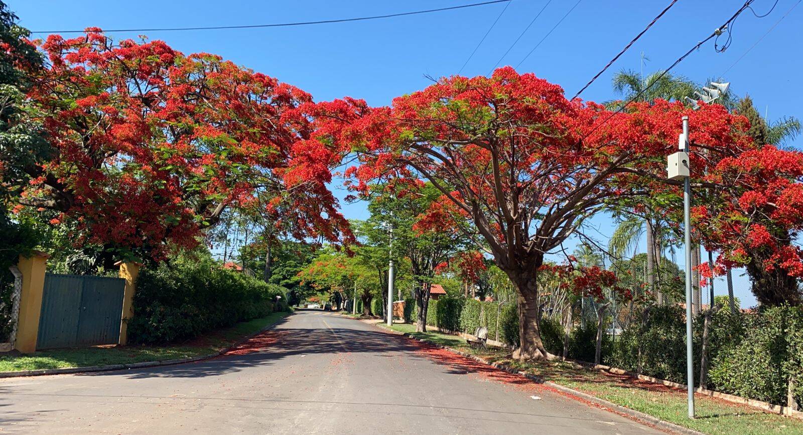 Chácara à venda com 3 quartos, 405m² - Foto 6