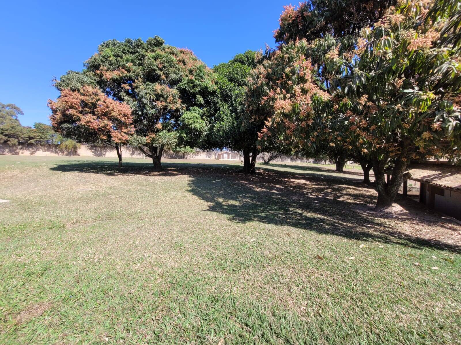 Sítio à venda com 6 quartos, 19200m² - Foto 52
