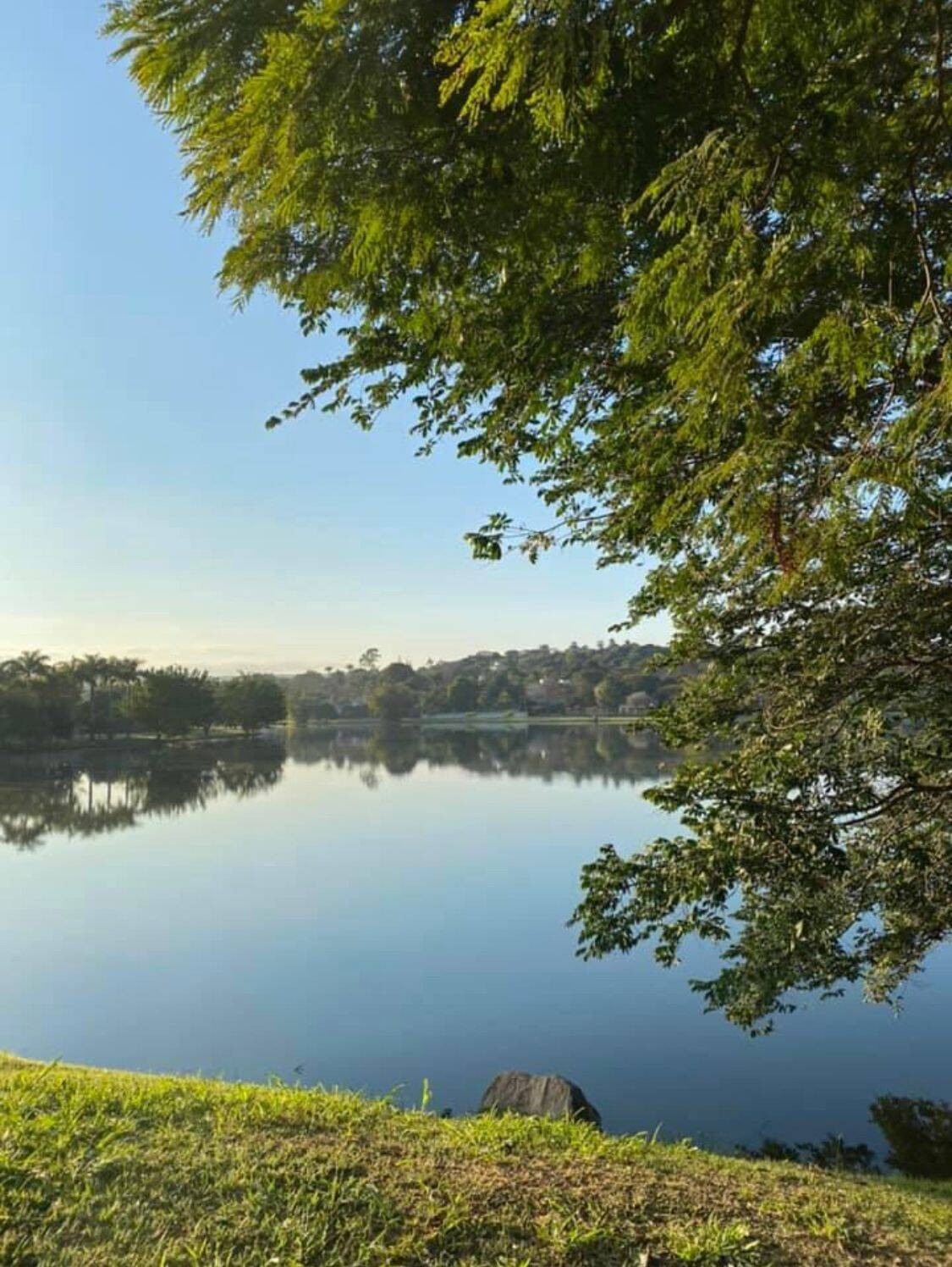 Chácara à venda com 1 quarto, 4628m² - Foto 11