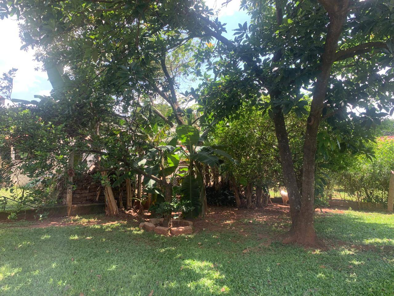 Chácara à venda com 3 quartos, 3000m² - Foto 15