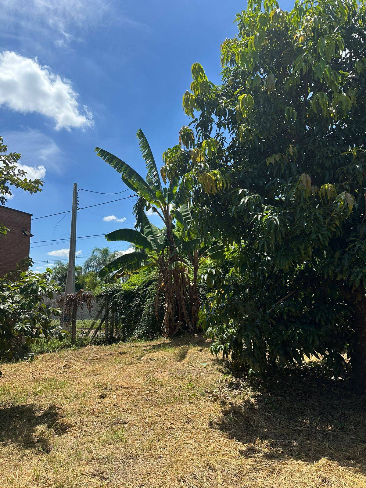 Terreno á Venda no Condomínio Residencial Vale das Laranjeiras, Indaiatuba