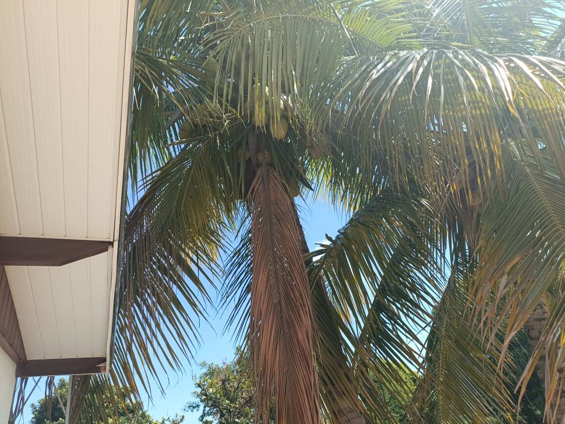 Chácara à venda com 3 quartos, 405m² - Foto 18