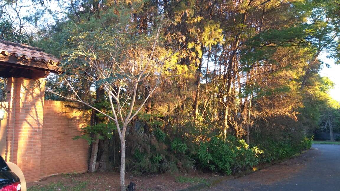 Chácara à venda com 2 quartos, 72m² - Foto 3