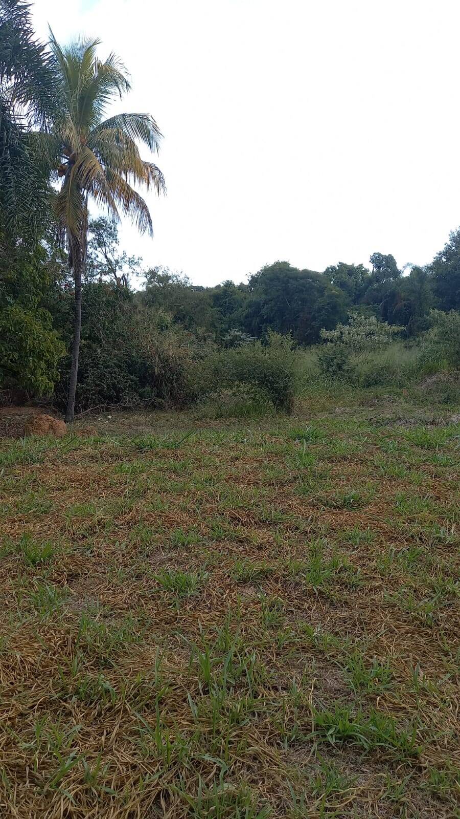 Terreno á Venda no Vale das Laranjeiras 2.880m²