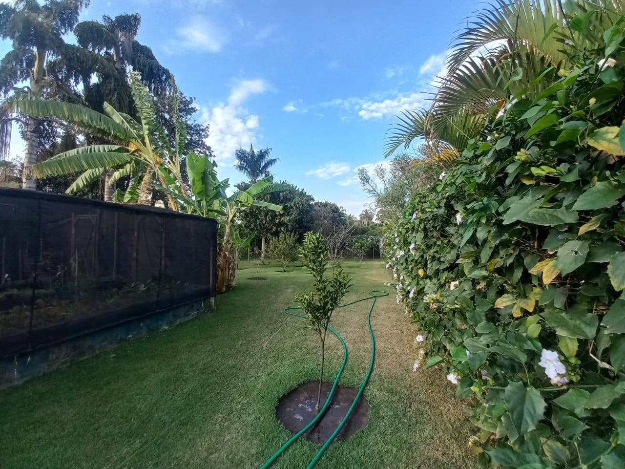 Casa de Condomínio à venda com 5 quartos, 646m² - Foto 48