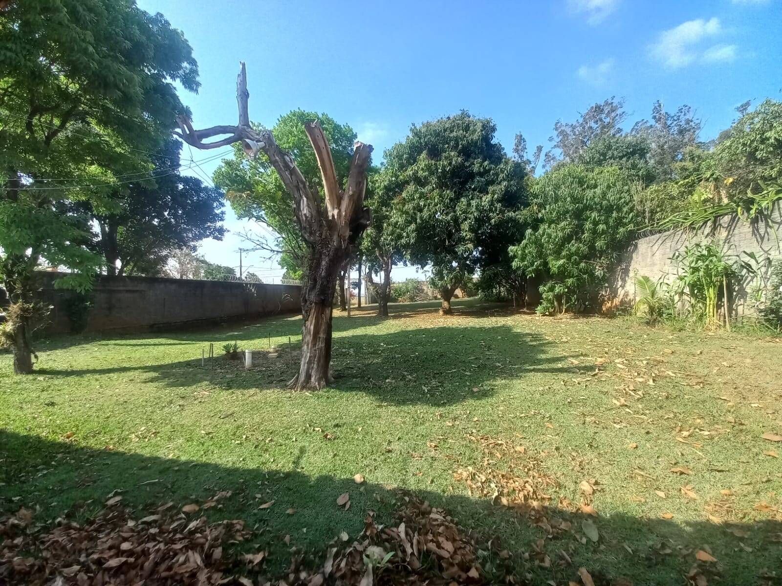 Chácara, 1 quarto, 998 m² - Foto 1