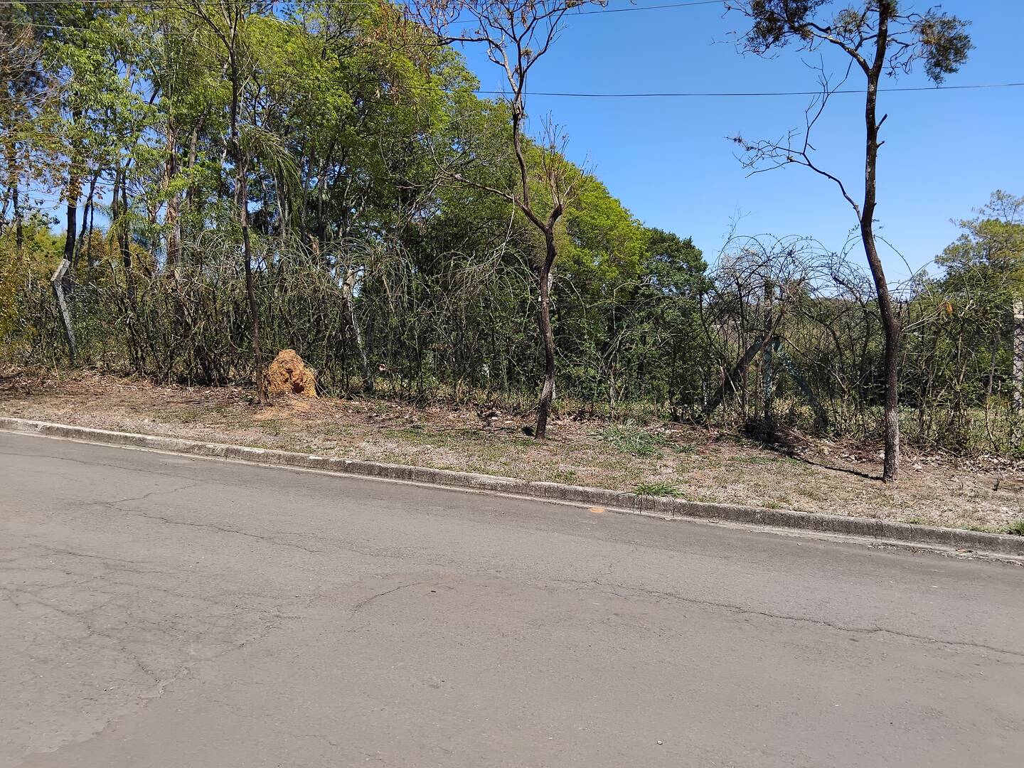 Terreno, 5000 m² - Foto 1