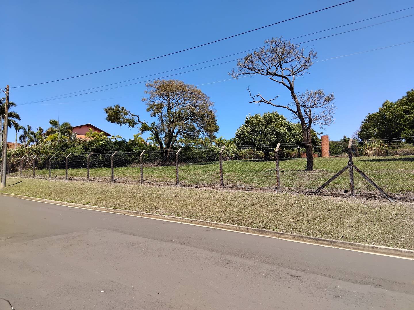 Terreno, 5 hectares - Foto 3