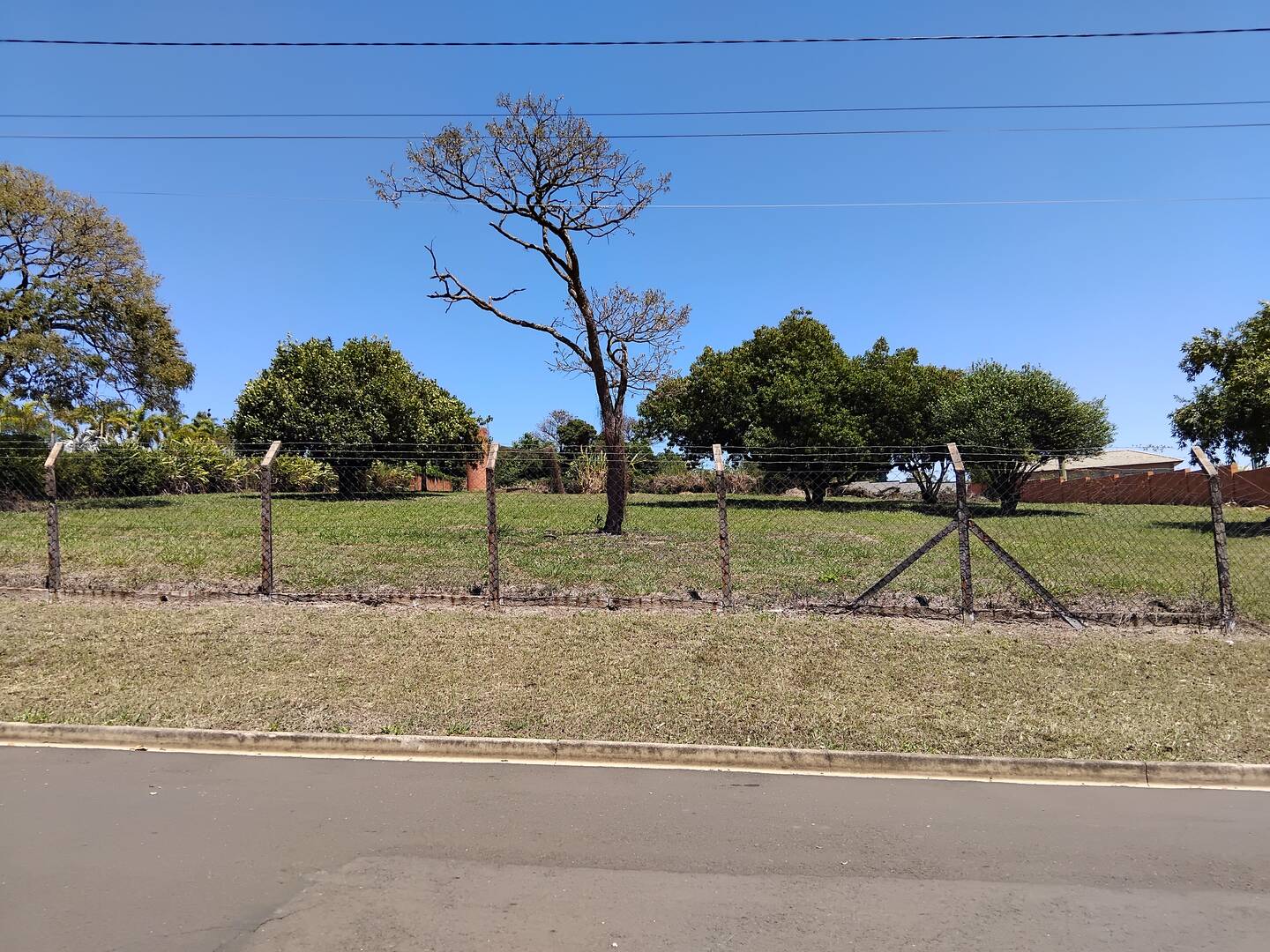 Terreno, 5 hectares - Foto 4